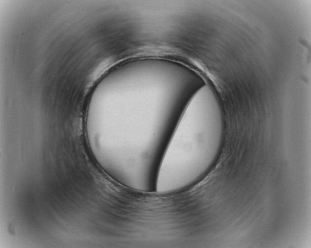 X0000091591459200708200941