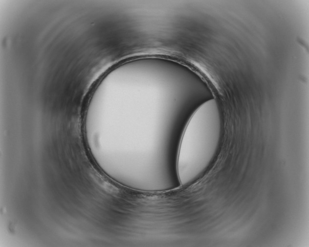 X0000091591460200708200941