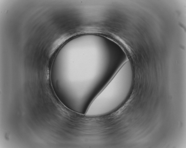 X0000091591461200708200941
