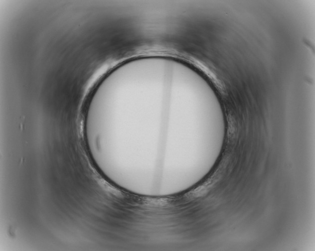 X0000091591462200708200941
