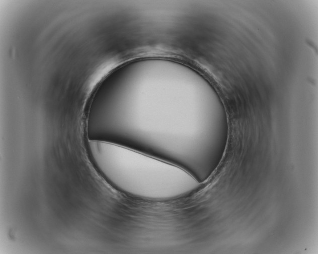 X0000091591463200708200941