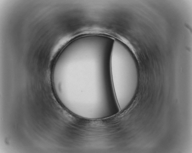 X0000091591464200708200941