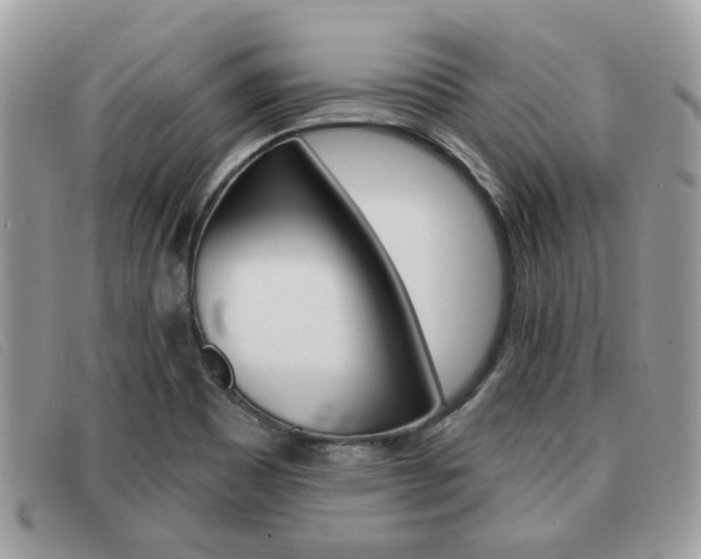 X0000091591465200708200941