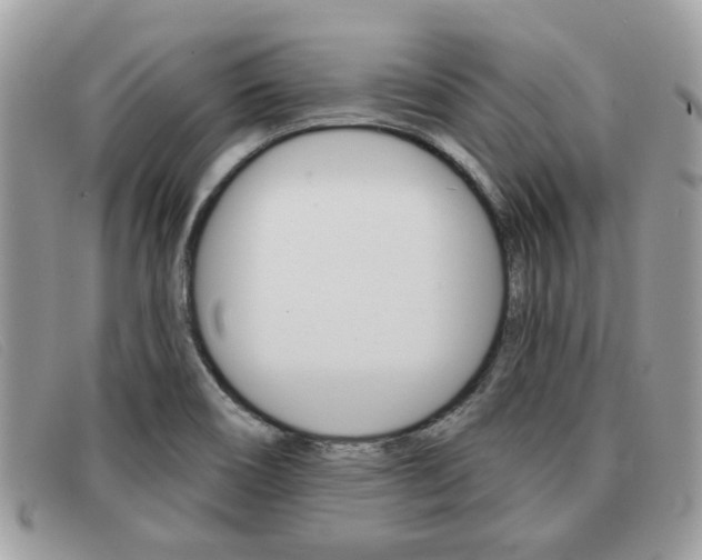 X0000091591466200708200941