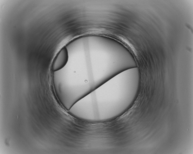 X0000091591467200708200941