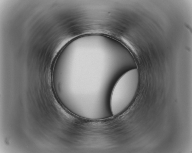 X0000091591468200708200940
