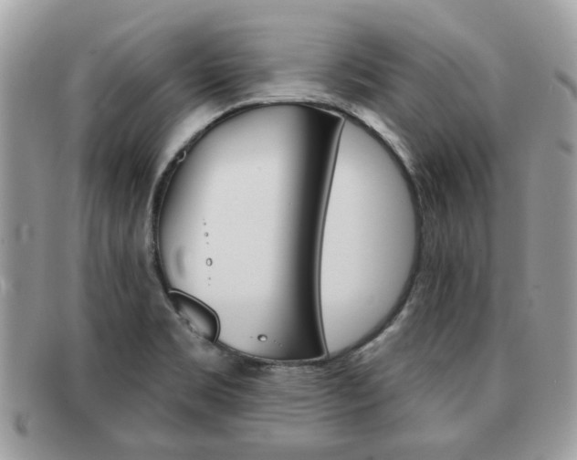 X0000091591469200708200940