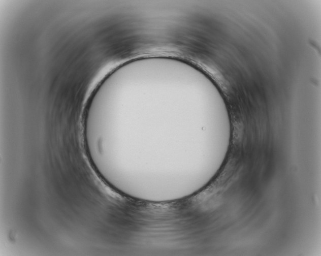 X0000091591470200708200940