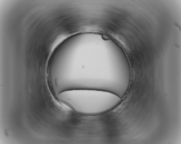 X0000091591471200708200940