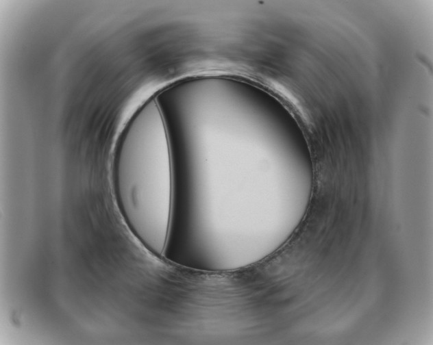 X0000091591472200708200940