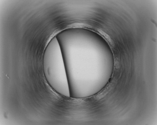 X0000091591473200708200940
