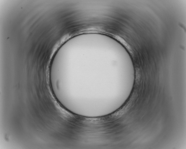X0000091591474200708200940
