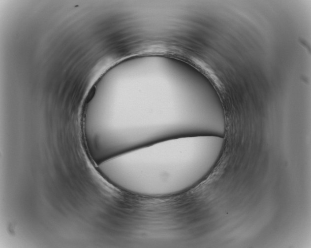X0000091591475200708200940