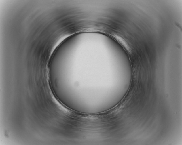 X0000091591476200708200940