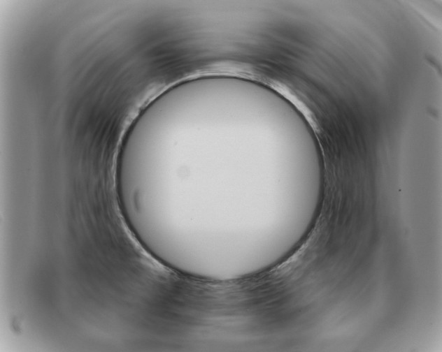 X0000091591477200708200940