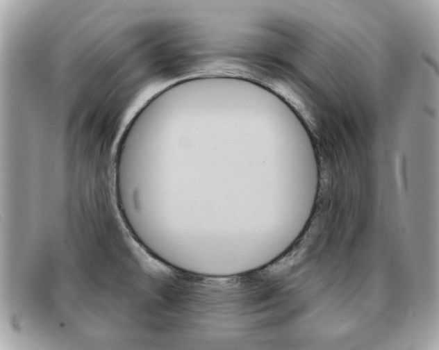 X0000091591478200708200940