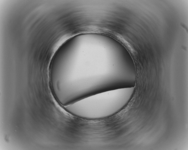 X0000091591479200708200940