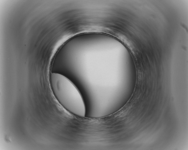 X0000091591480200708200940