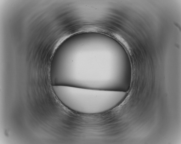 X0000091591481200708200940
