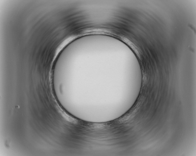 X0000091591482200708200940