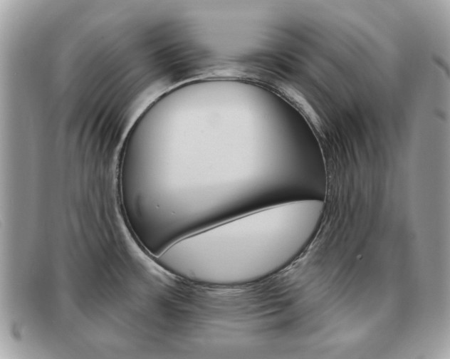 X0000091591483200708200940