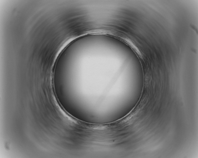 X0000091591484200708200940