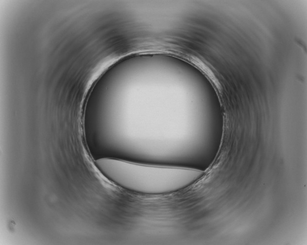 X0000091591485200708200940