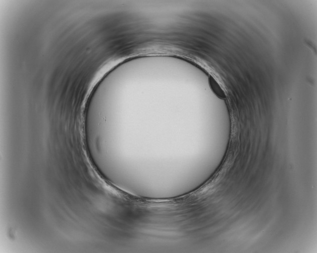 X0000091591486200708200940
