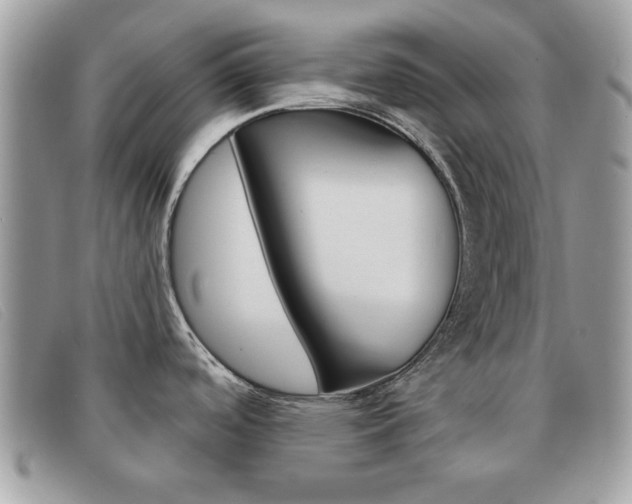 X0000091591488200708200940
