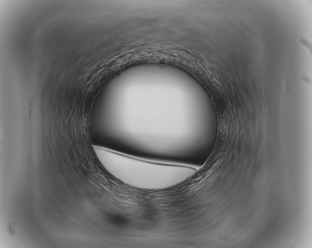 X0000091591490200708200939