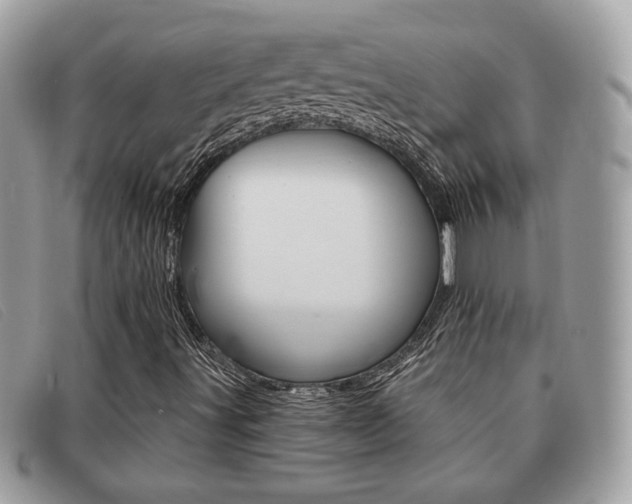 X0000091591491200708200939