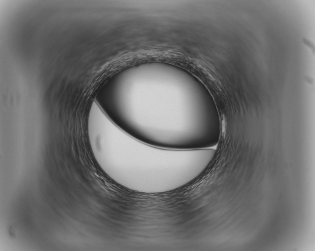 X0000091591492200708200939