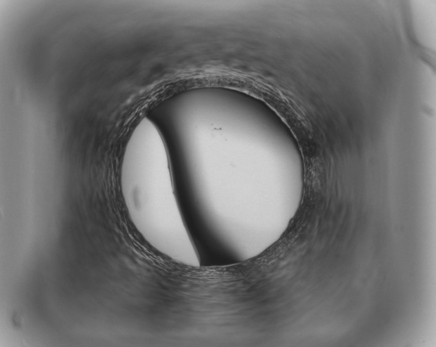 X0000091591493200708200939