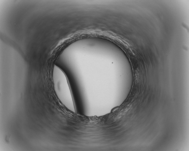 X0000091591494200708200939