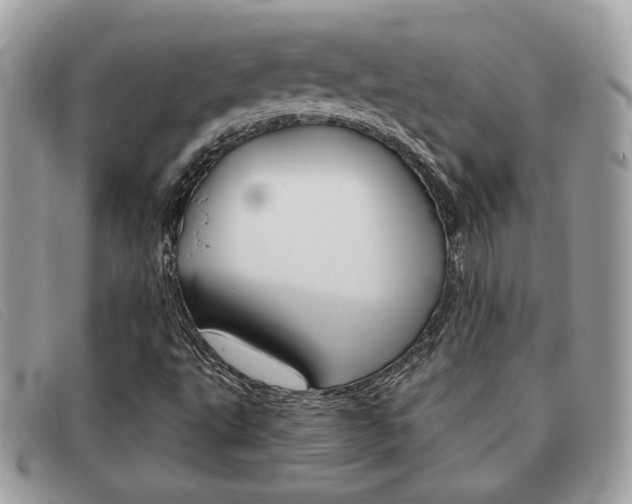 X0000091591495200708200939