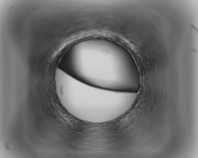 X0000091591496200708200939