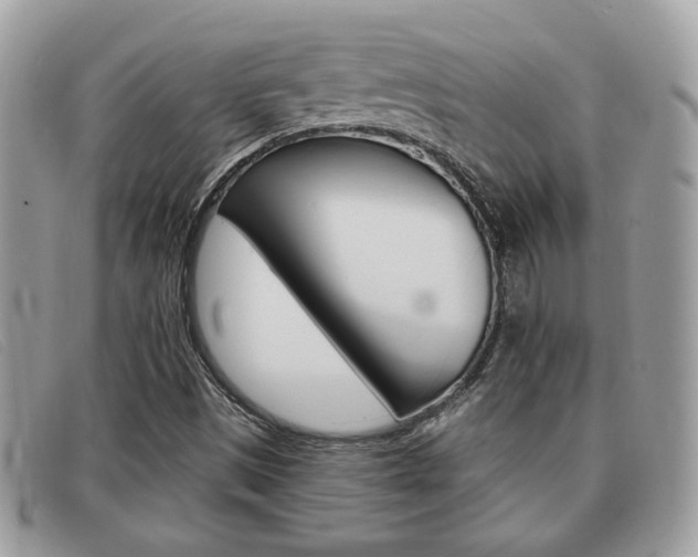 X0000091591497200708200940