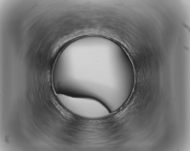 X0000091591499200708200940