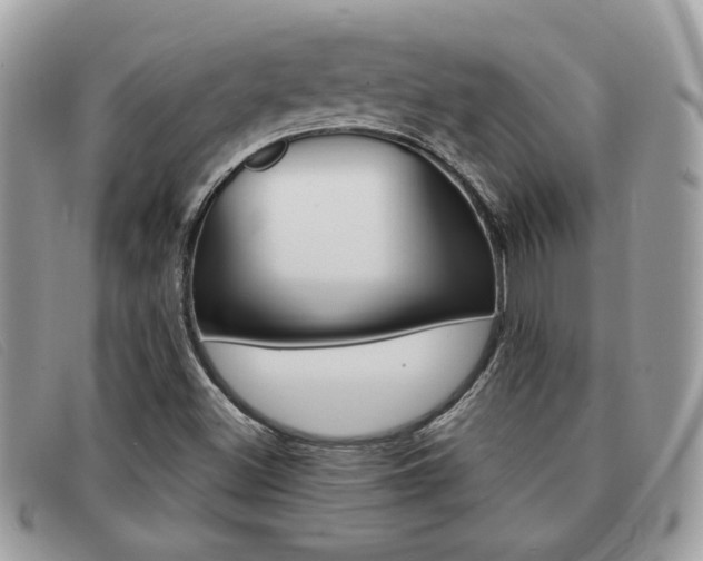 X0000091591500200708200940