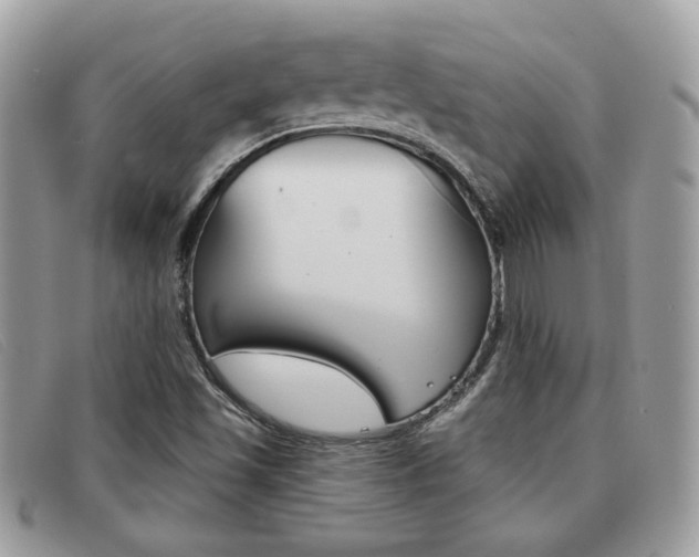X0000091591501200708200940