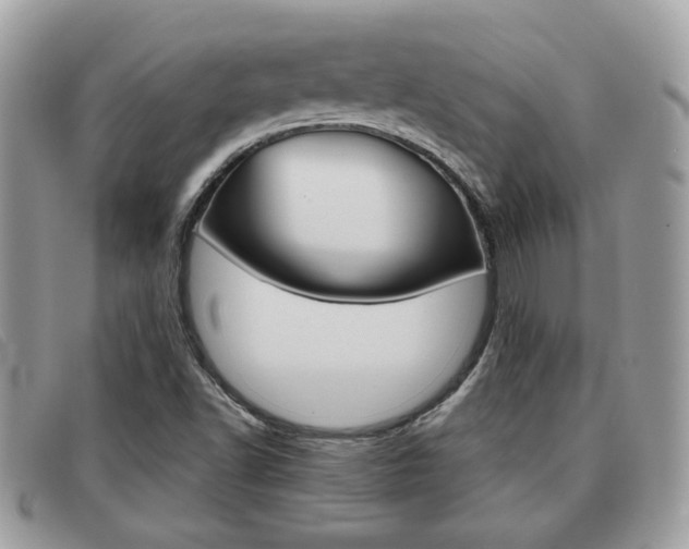 X0000091591502200708200940