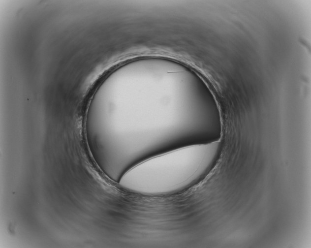X0000091591503200708200940