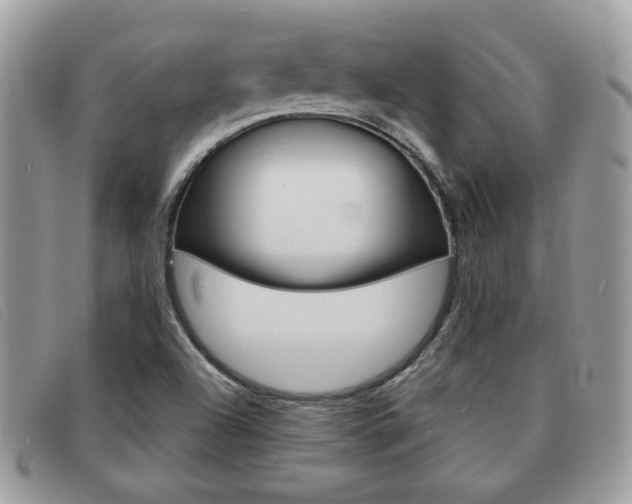 X0000091591504200708200940