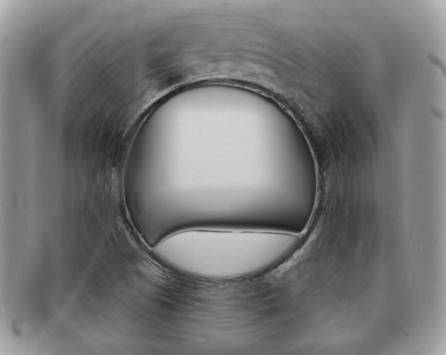 X0000091591505200708200940