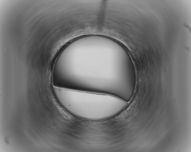 X0000091591507200708200940