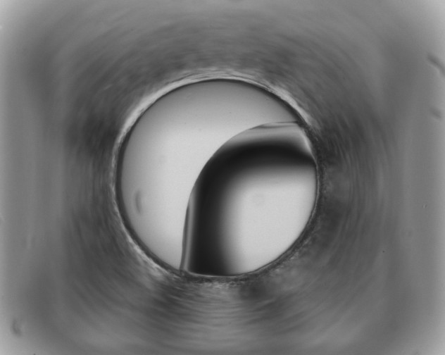 X0000091591508200708200940