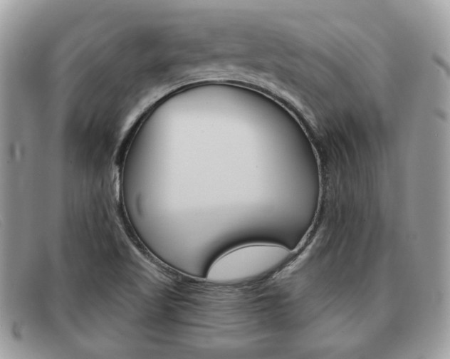 X0000091591509200708200940