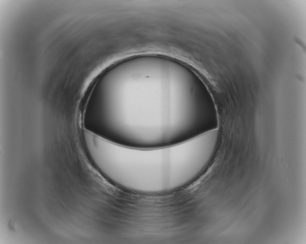 X0000091591510200708200940