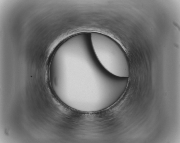 X0000091591511200708200940