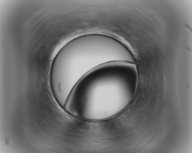 X0000091591512200708200940